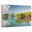 Florida Keys Mangrove Wall Art – Tropical Coastal Nature Photography