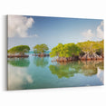 Florida Keys Mangrove Wall Art – Tropical Coastal Nature Photography