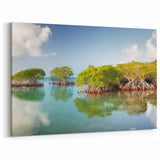 Florida Keys Mangrove Wall Art – Tropical Coastal Nature Photography