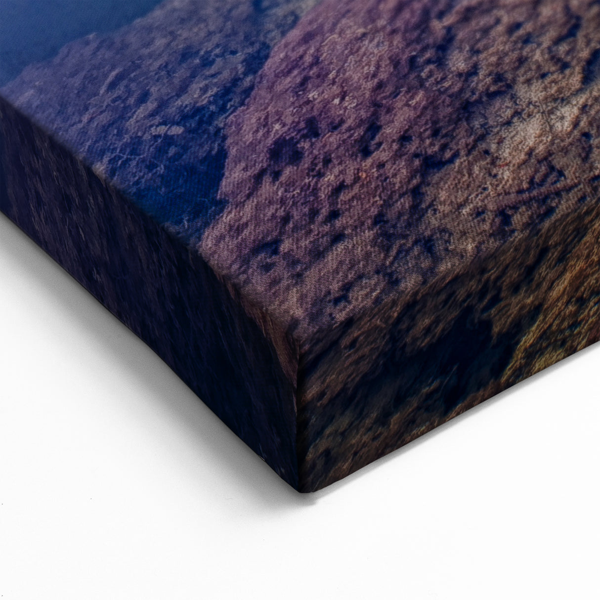 Tranquil Everglades Wall Art - Serene Florida Wetlands Nature Photography