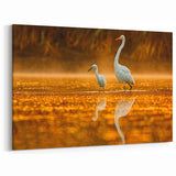Elegant Everglades Wildlife Wall Art - Majestic Florida Bird Photography