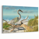 Daytona Wall Art - Majestic Heron by the Ocean on a Sunny Beach
