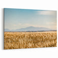 Colorado Wheat Field Landscape Photography - Pikes Peak Wall Art