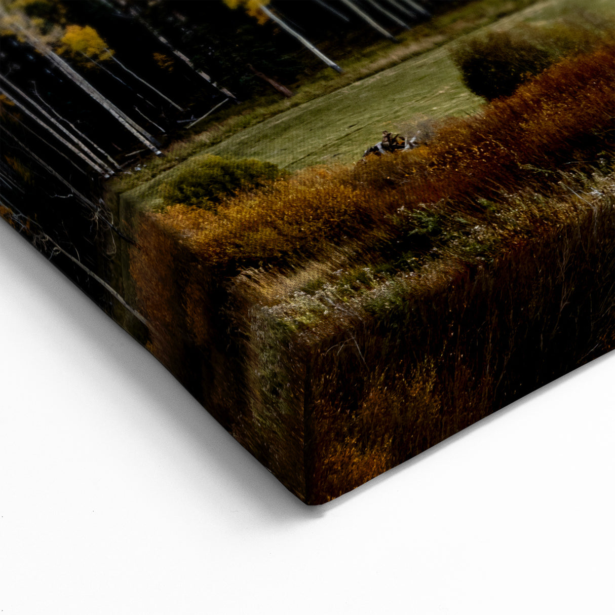Telluride Metallic Mineral Wall Art - Textured Silver Crystal Photography Print