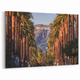 Hollywood Sign and Palm Trees - Iconic California Wall Art Print