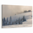 Olympic National Park Wall Art - Serene Winter Wonderland Snow Scene