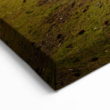Washington National Park Art - Peaceful Lake with Wooden Bench