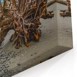 Washington National Park Art - Driftwood on Rugged Olympic Coastline