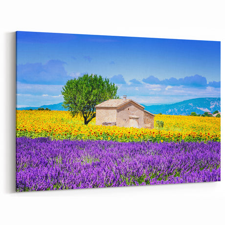 Lavender Field Artwork - Rustic French Cottage with Sunflowers and Lavender