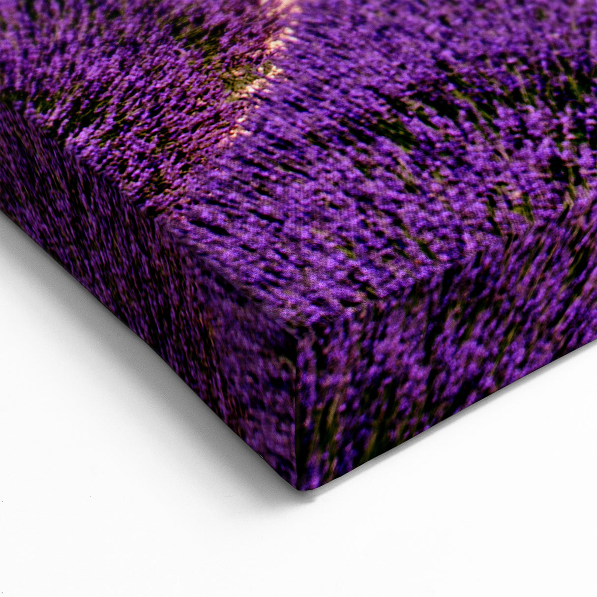 Provence Landscape Print - Endless Lavender Rows with Trees in the Distance