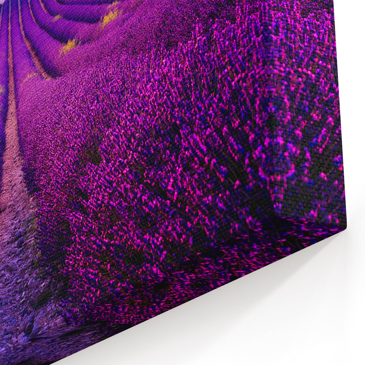 Lavender Field Artwork – Vibrant Provence Landscape at Sunset