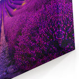 Lavender Field Artwork – Vibrant Provence Landscape at Sunset