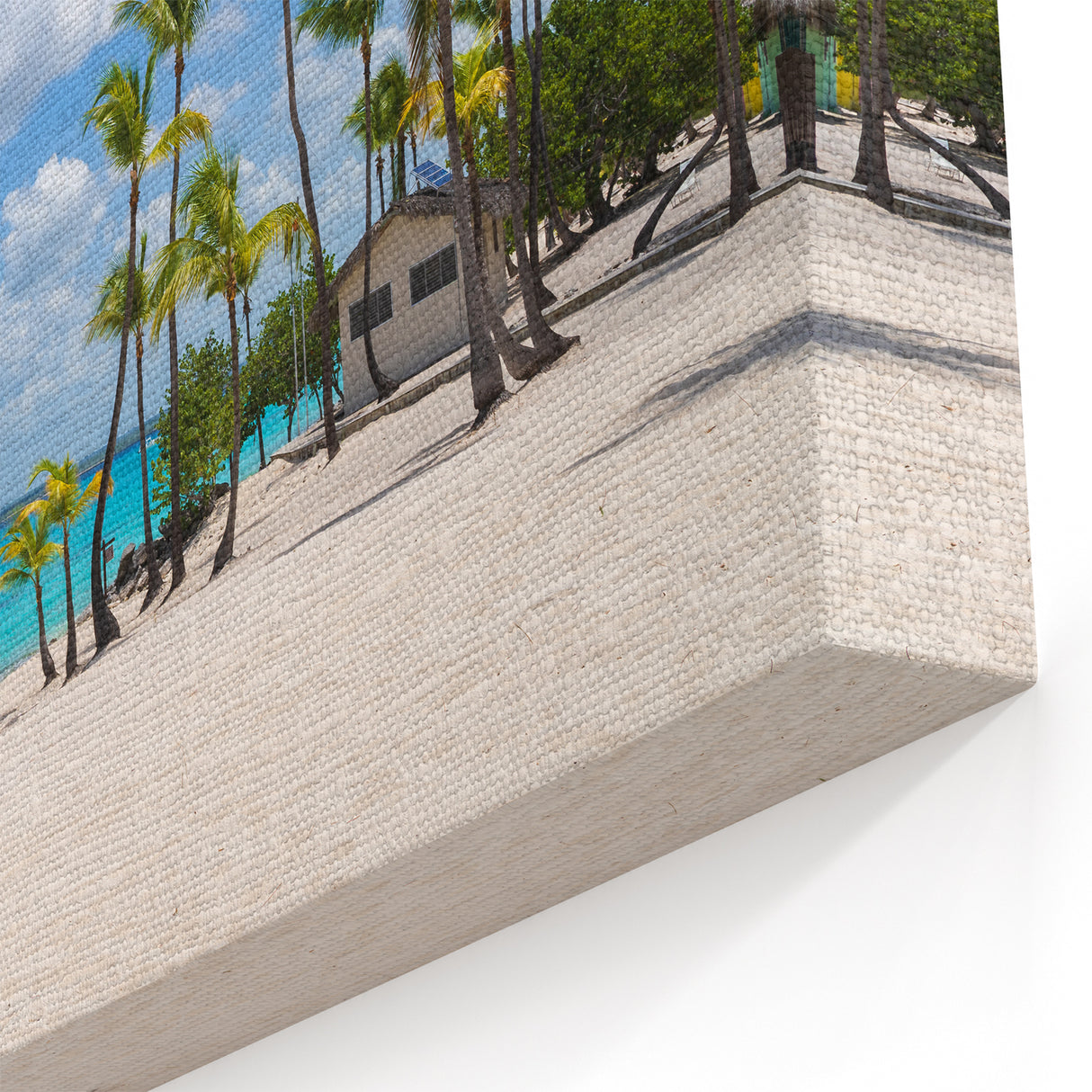 Palm Tree Beach Print – Catalina Island Coastal Canvas Art
