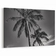 Miami Black and White Palm Tree Art – Minimalist Tropical Canvas Print