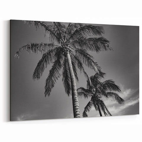 Miami Black and White Palm Tree Art – Minimalist Tropical Canvas Print