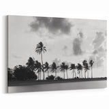 Serene Coastal Landscape Canvas - Miami Black and White Palm Tree Art