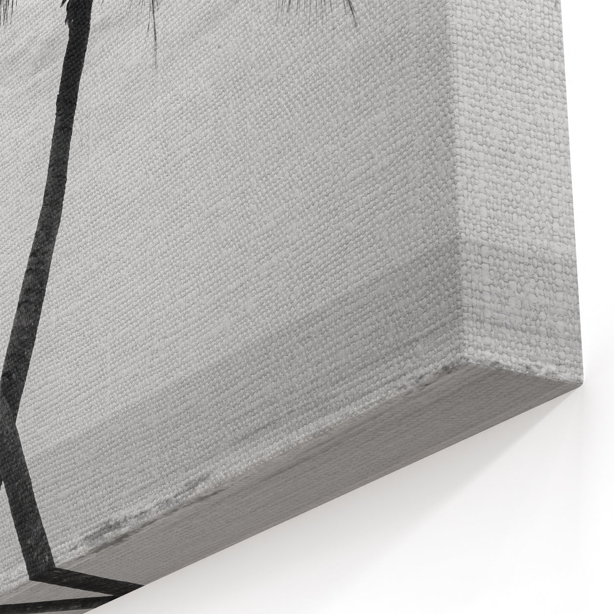Black and White Palm Beach Art - Tropical Coastal Photography for Wall Decor