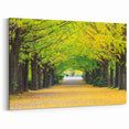 Virginia Nature Art - Tree-Lined Path in Spring Scenic Photography Print