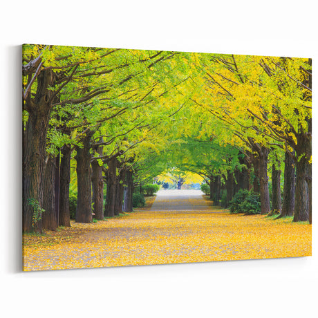 Virginia Nature Art - Tree-Lined Path in Spring Scenic Photography Print