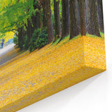 Virginia Nature Art - Tree-Lined Path in Spring Scenic Photography Print