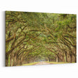 Historic Oak Tree Tunnel - Savannah Scenic Photography Georgia Art Prints