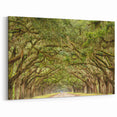 Historic Oak Tree Tunnel - Savannah Scenic Photography Georgia Art Prints