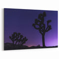 Joshua Tree Starry Night - Scenic Desert Landscape Wall Art