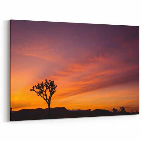 Joshua Tree Sunset Glow - Scenic Desert Landscape Wall Art