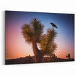 Joshua Tree with Raven at Sunset - Scenic Desert Wall Art