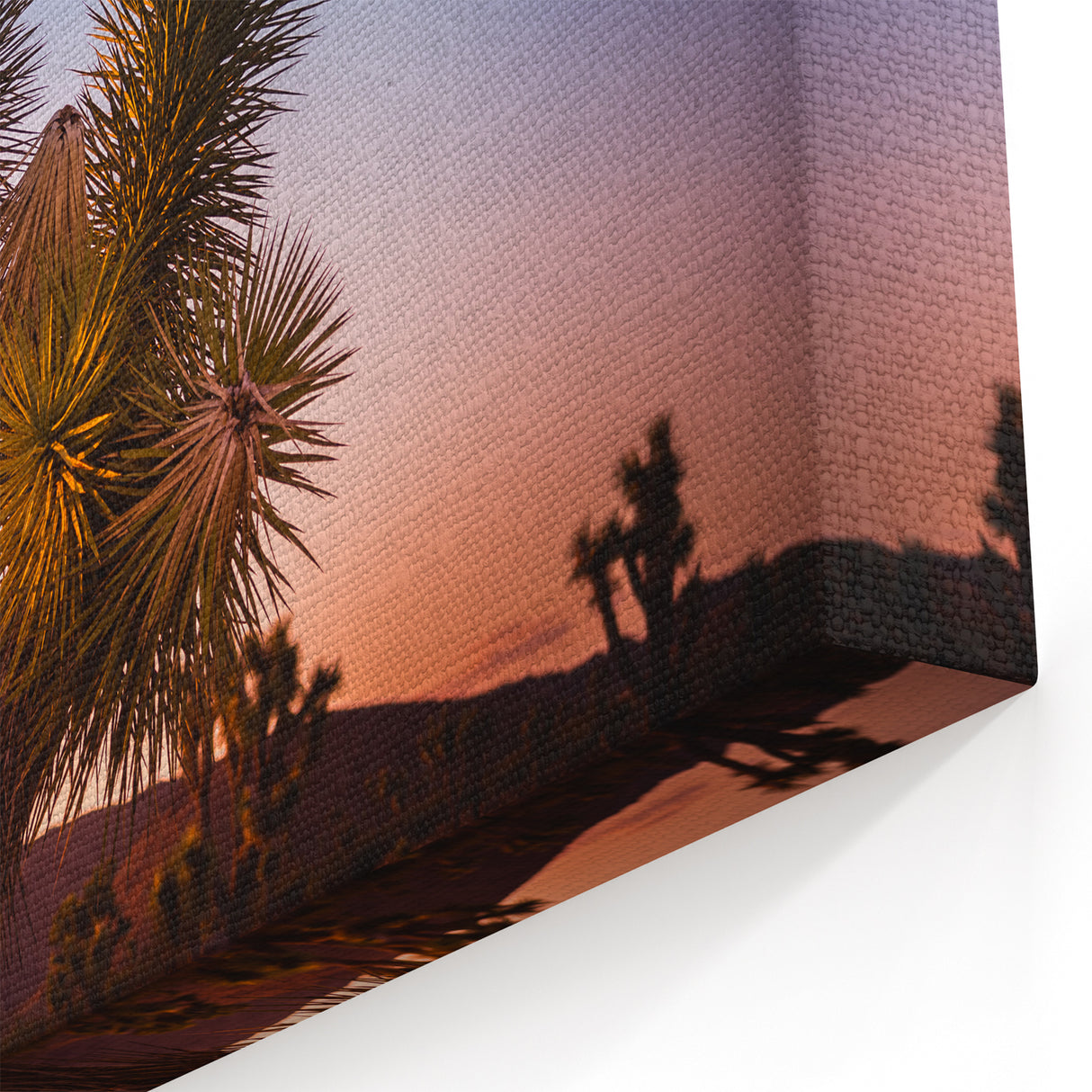 Joshua Tree with Raven at Sunset - Scenic Desert Wall Art