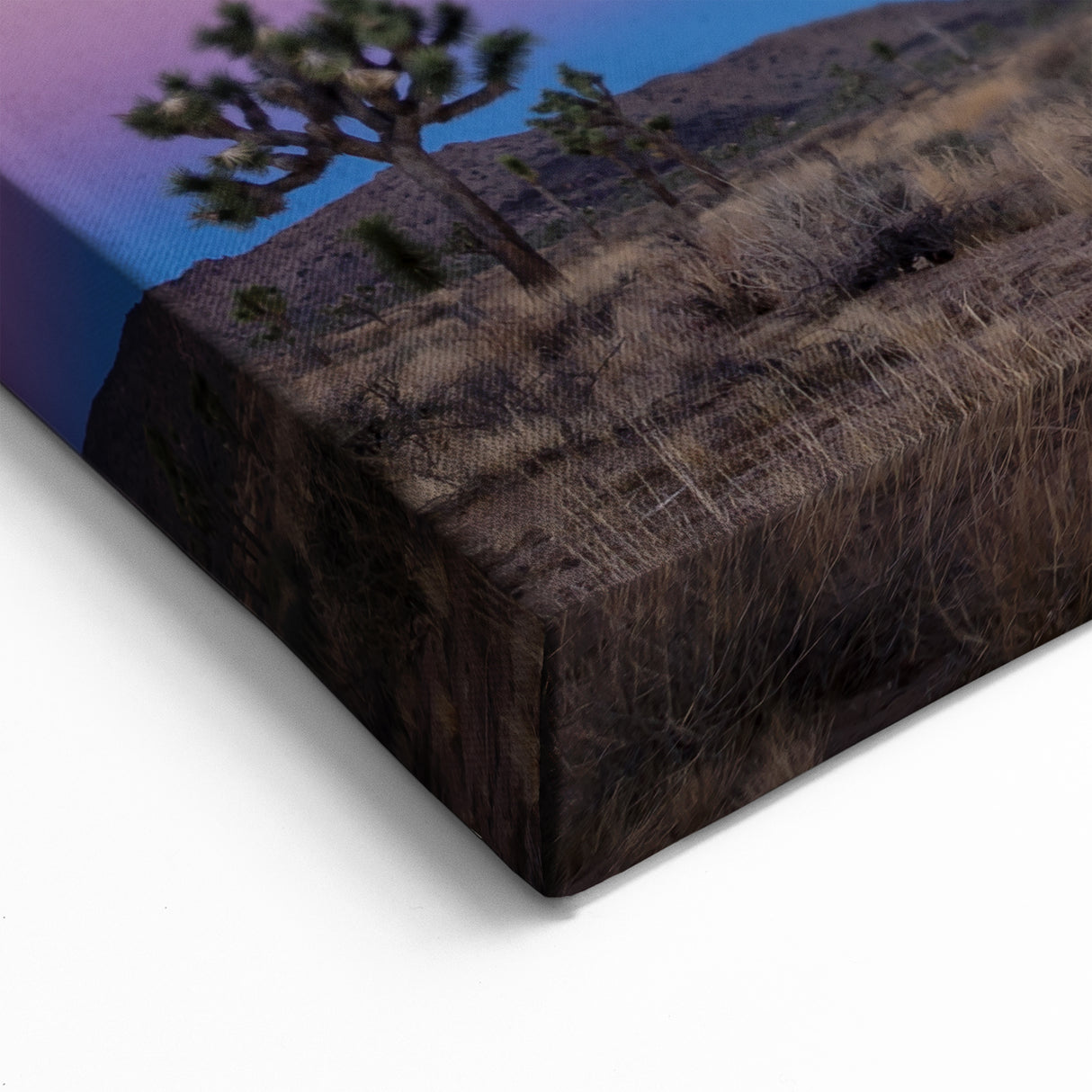 Joshua Tree Twilight Sky - Scenic Desert Landscape Wall Art