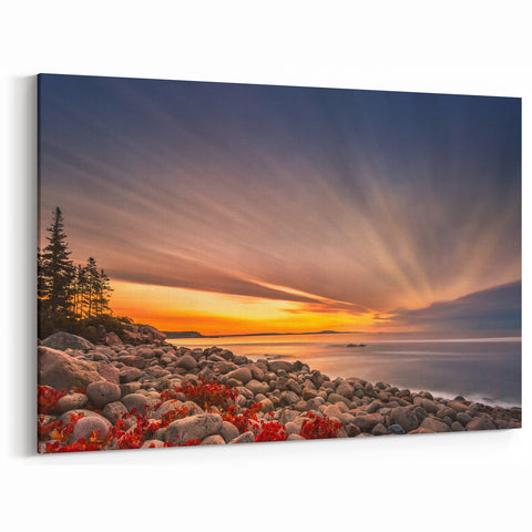 National Park Art Prints - Stunning Acadia Coastal Maine Sunrise Poster