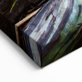 Hawaiian Nature Art – Maui Rainbow Eucalyptus Tree Photography Print