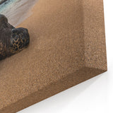 Hawaiian Beach Art – Maui Sea Turtle Photography Print for Tropical Decor
