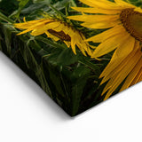 Island Landscape Art – Vibrant Sunflower Field Maui Photography Print