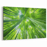 Maui Scenery Art – Tranquil Bamboo Forest Photography for Wall Decor