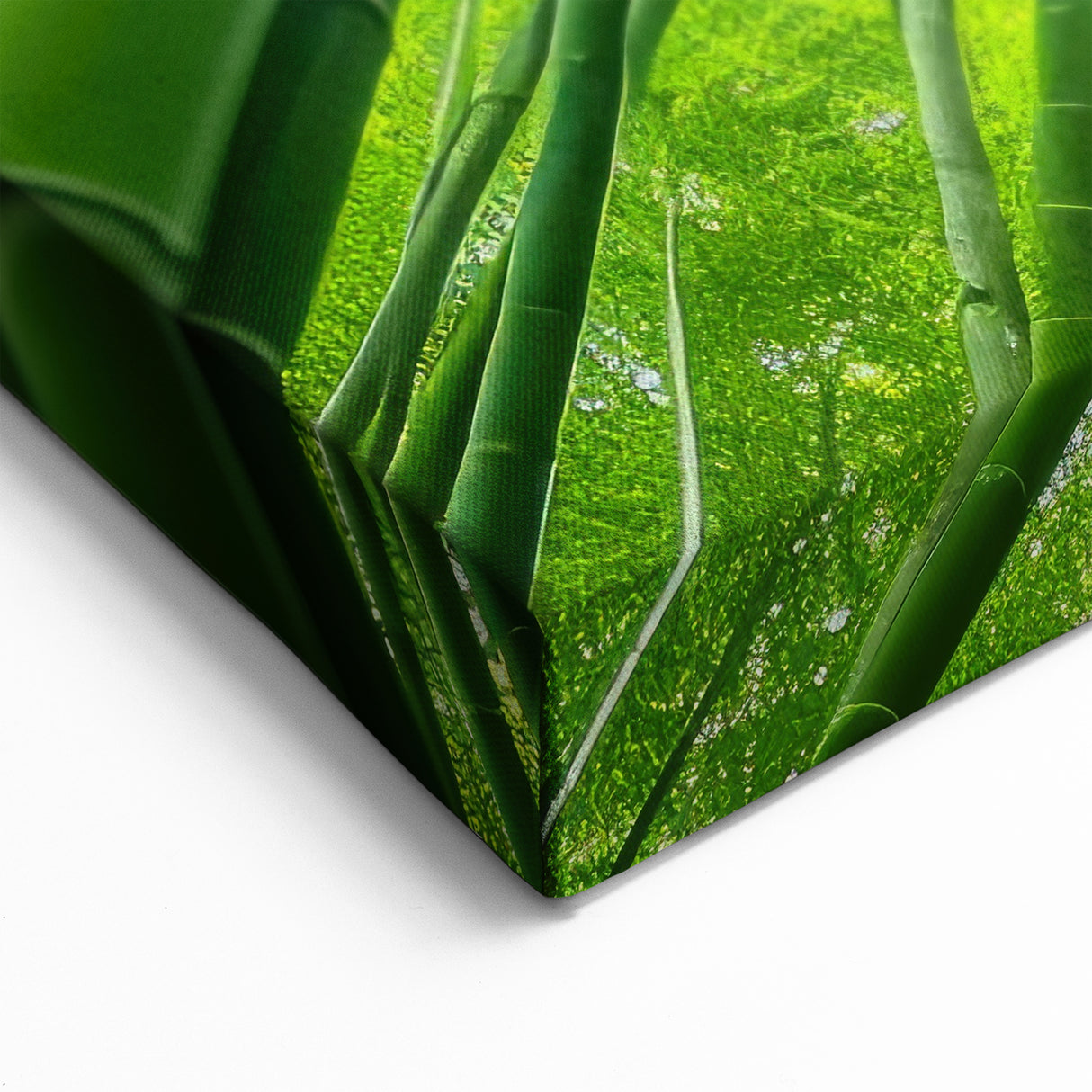 Maui Scenery Art – Tranquil Bamboo Forest Photography for Wall Decor