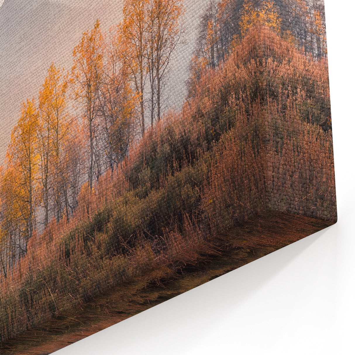 Idaho Wall Art - Misty Mountain Landscape with Autumn Foliage