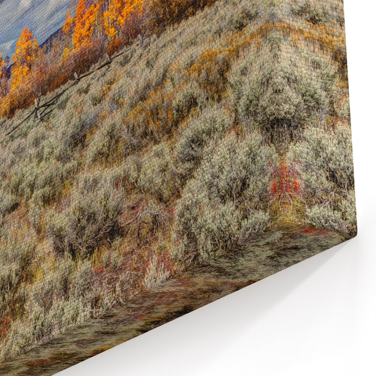 Scenic Idaho Prints - Autumn Foliage Landscape for Home Decor