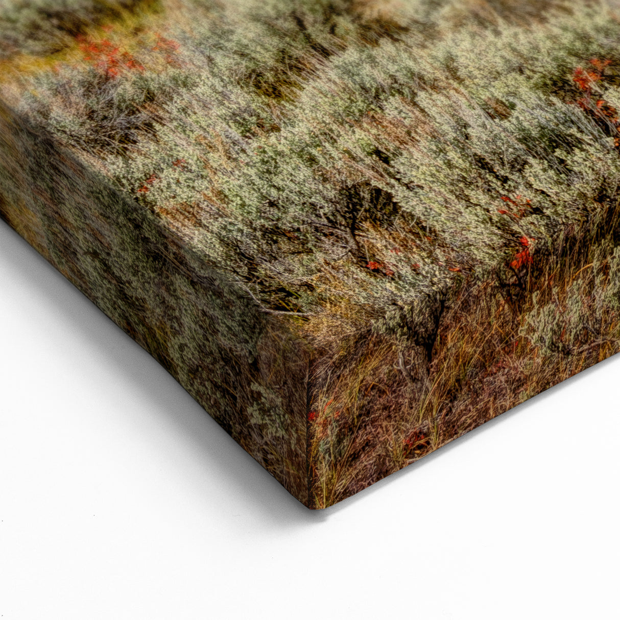 Scenic Idaho Prints - Autumn Foliage Landscape for Home Decor
