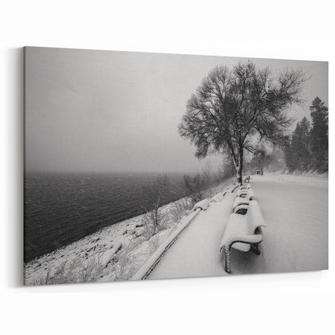 Idaho Canvas Art - Minimalist Winter Scene Photography for Home Decor