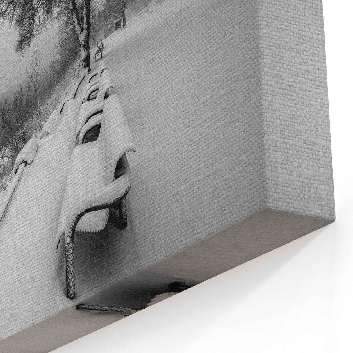 Idaho Canvas Art - Minimalist Winter Scene Photography for Home Decor