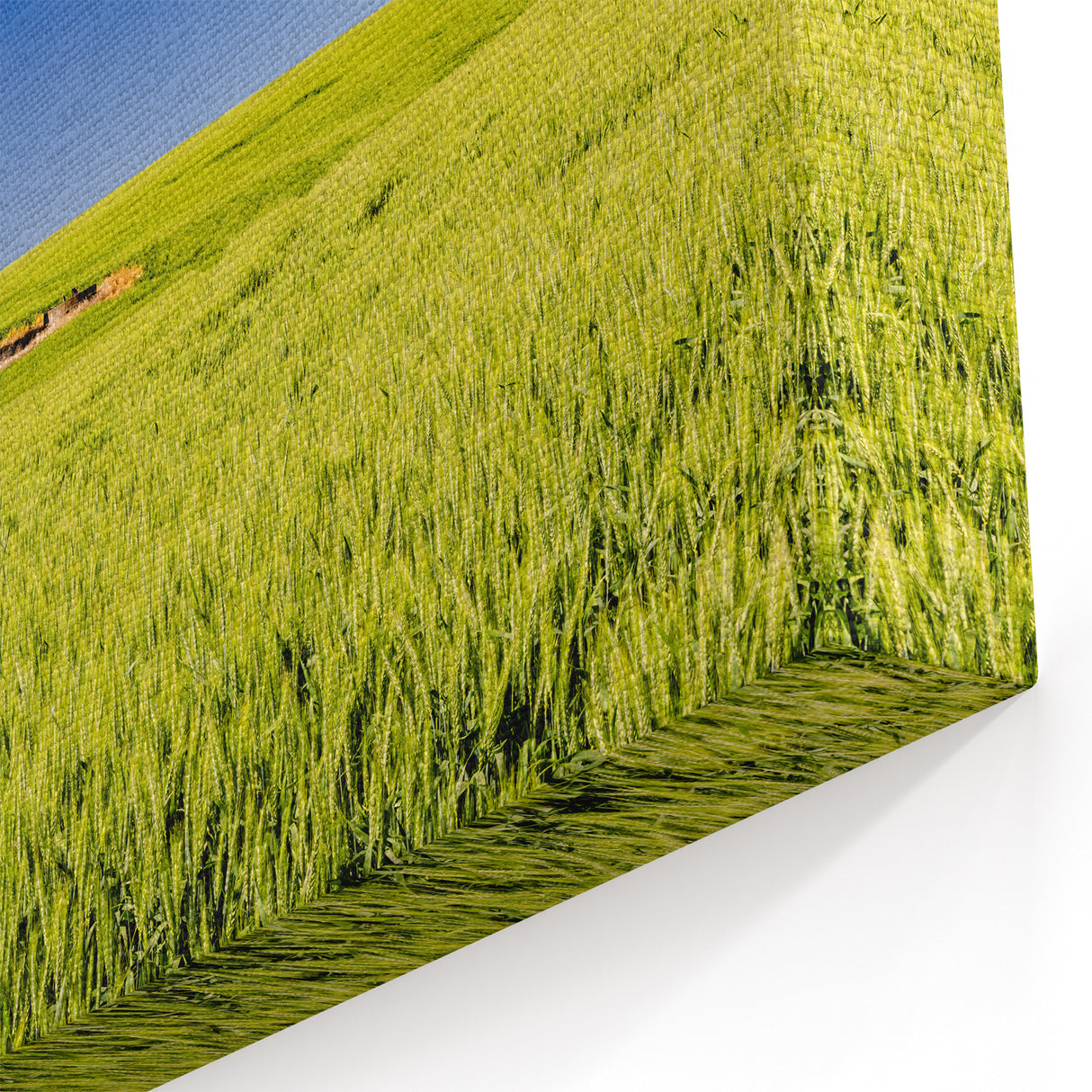 Idaho Canvas Art - Vibrant Red Barn in Green Fields for Home Decor
