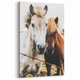 Equine Companions - Rustic Horse Portrait Art