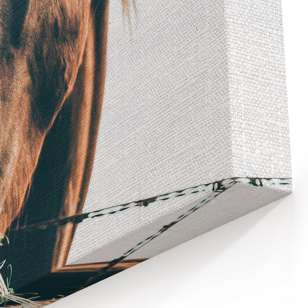 Grazing Grace - Rustic Horse Close-Up Art