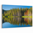 Scenic Lake Tahoe Prints - Tranquil Forest Reflection Wall Art
