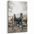 Farmhouse Wall Art: Country Horses in Rustic Landscape for Farmhouse Decor