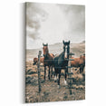 Farmhouse Wall Art: Country Horses in Rustic Landscape for Farmhouse Decor