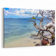 Oahu Photography – Scenic Island and Tree Coastal Print for Wall Decor