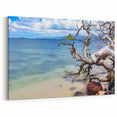 Oahu Photography – Scenic Island and Tree Coastal Print for Wall Decor